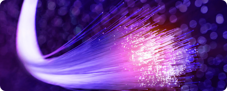 Abstract display of purple and pink fiber-optic light strands arcing from left to right against a dark background.